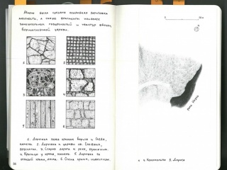 texture page 56 copy_small
